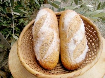 三種の木の実パン<span>（ライ麦15％のパン）</span>